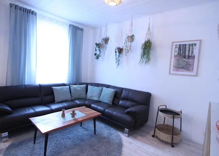 Erni-harz ヴェルニゲローデ